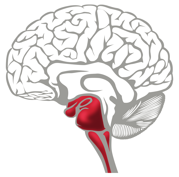Brain Survival Red