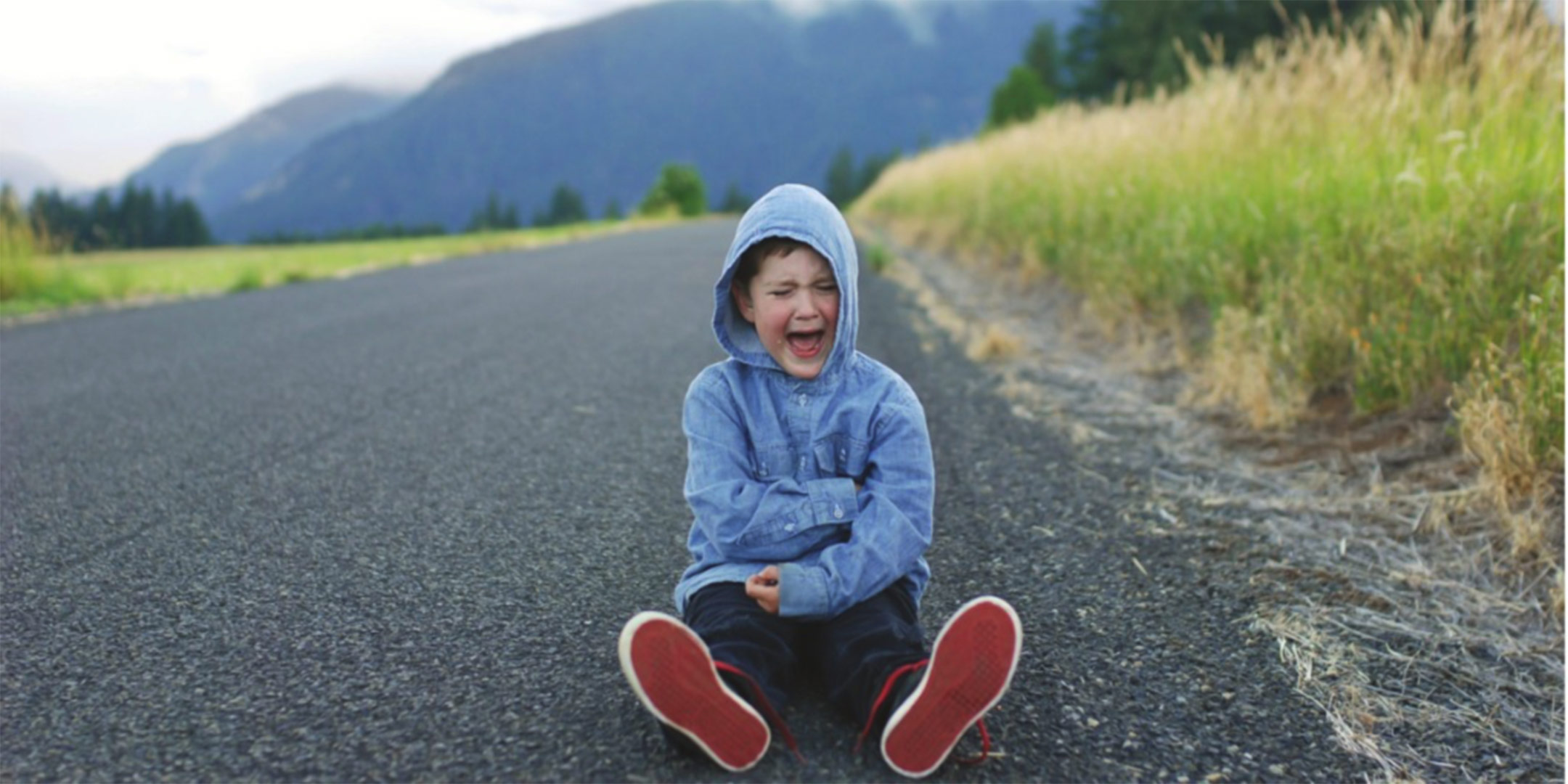 Behavior Intervention Strategies