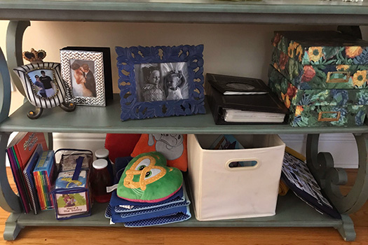Playroom: Mini Safe Place